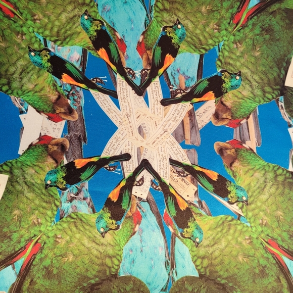 🌞🎁Original Art Velvet & Silk Custom Pillow Cover. Kaleidoscope of Birds - Picture 2 of 7